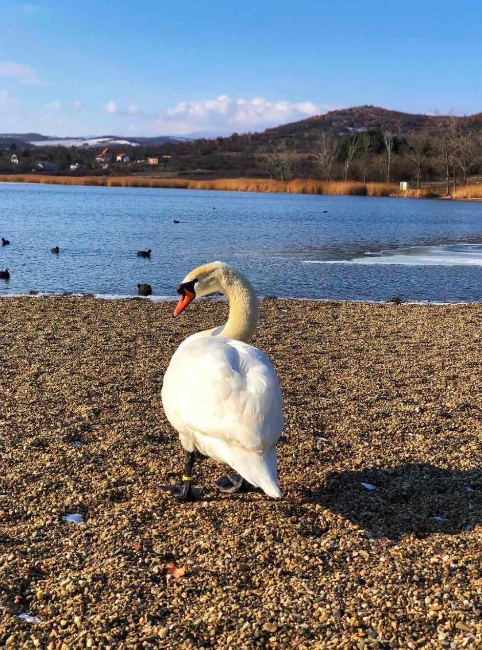 Garni Hotel Oblacinsko Jezero Oblacina 외부 사진