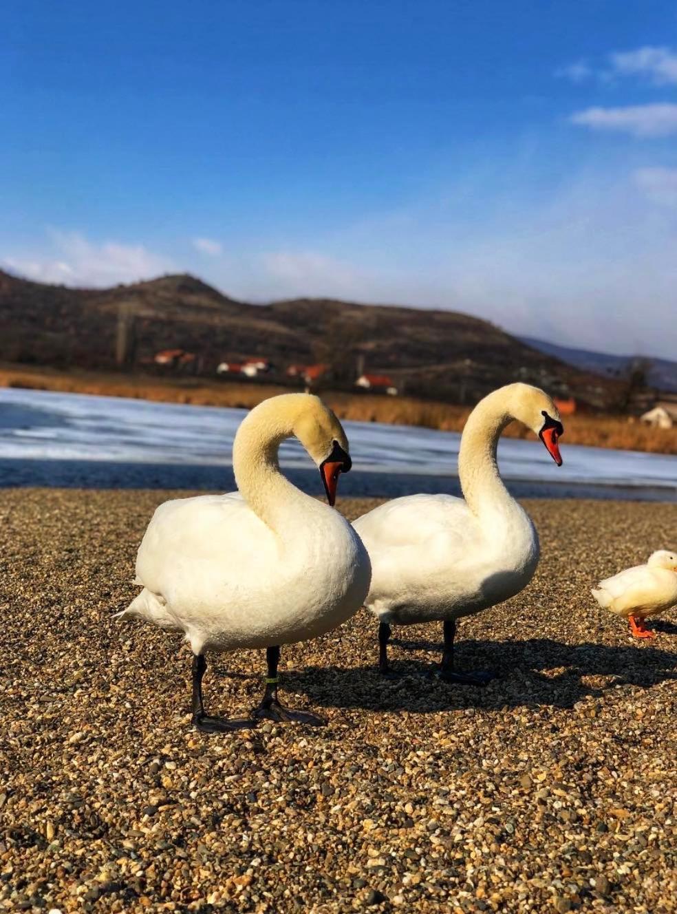 Garni Hotel Oblacinsko Jezero Oblacina 외부 사진